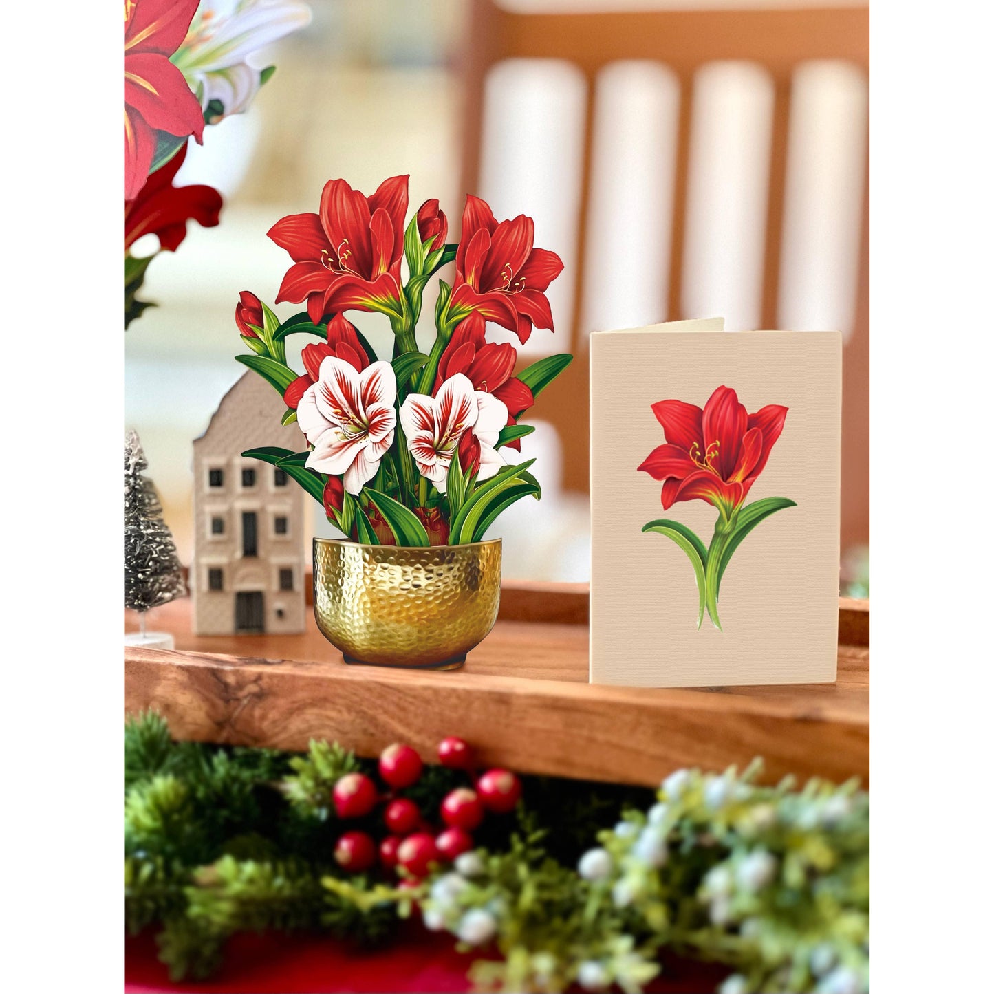 Mini Scarlett Amaryllis