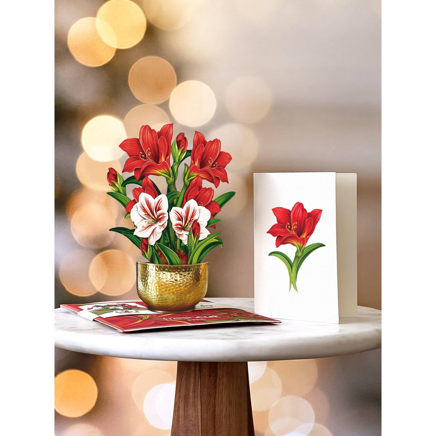 Mini Scarlett Amaryllis