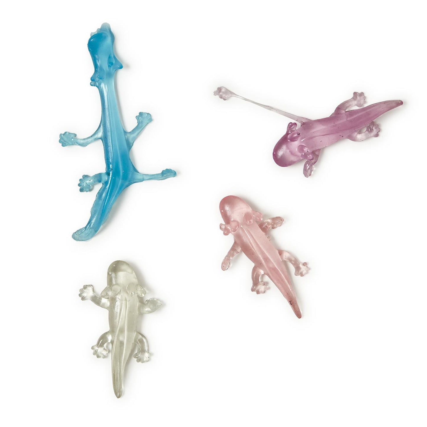 Awesome Axolotl Translucent Axolotl in Storage Container