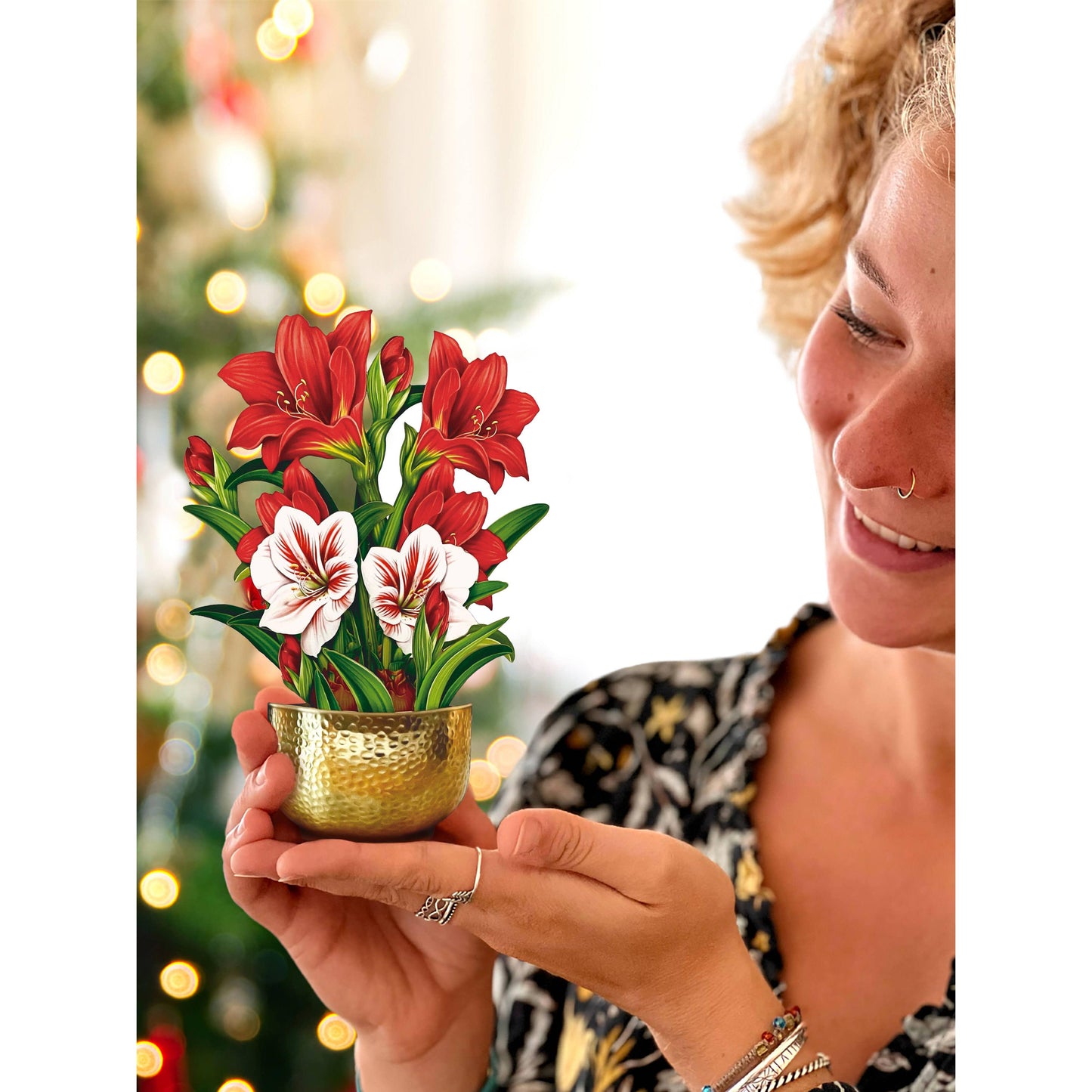 Mini Scarlett Amaryllis
