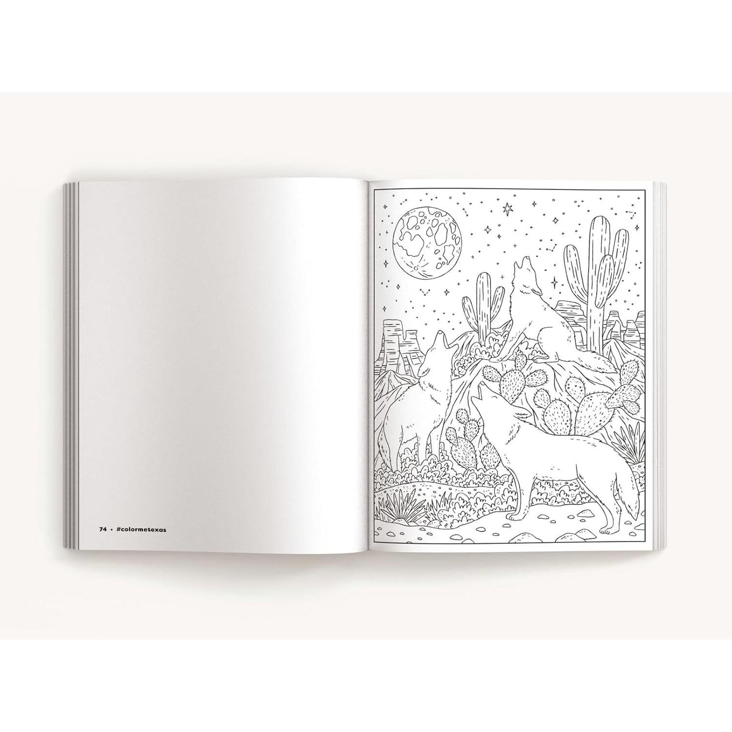 Color Me Texas: A Lone Star State Coloring Book (Color Me Coloring Books)