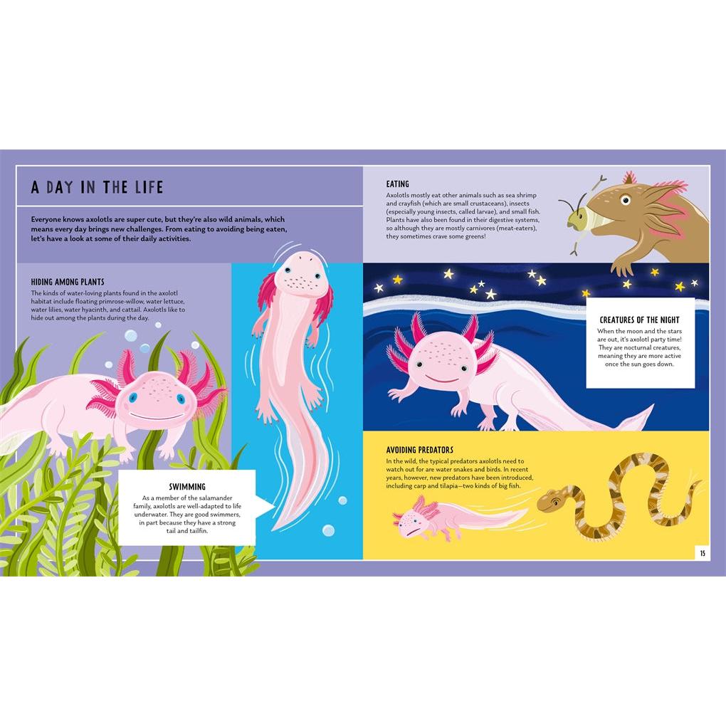 Axolotl (Young Zoologist)