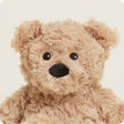 Brown Curly Bear Junior Warmies