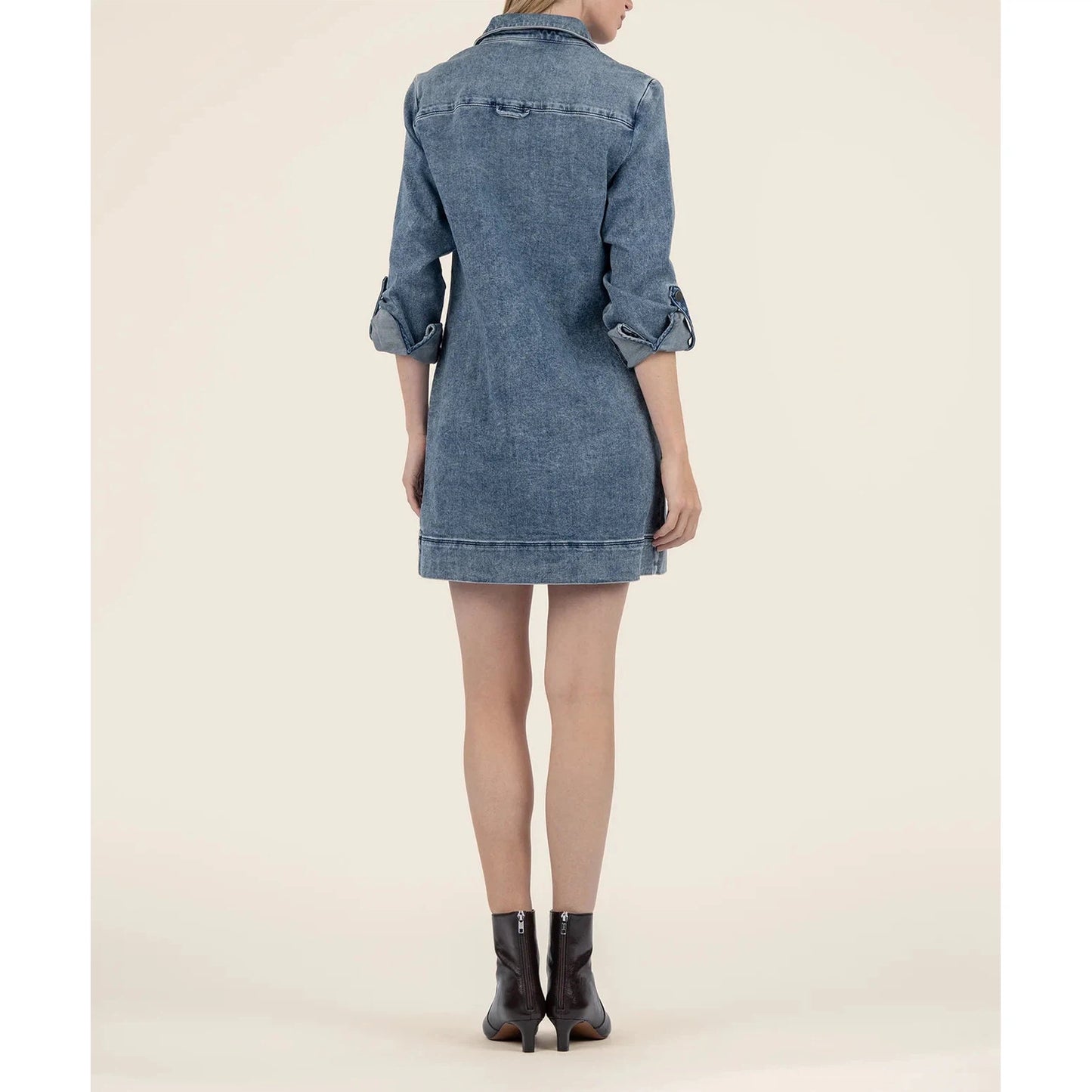 Anika Denim Dress