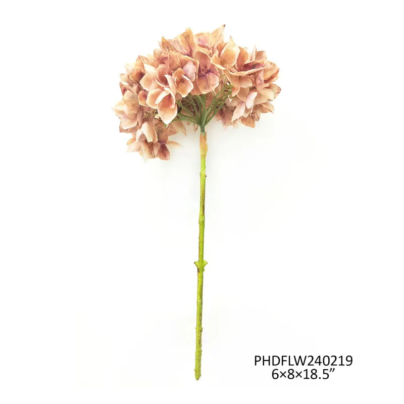 Hydrangea Antique Brown