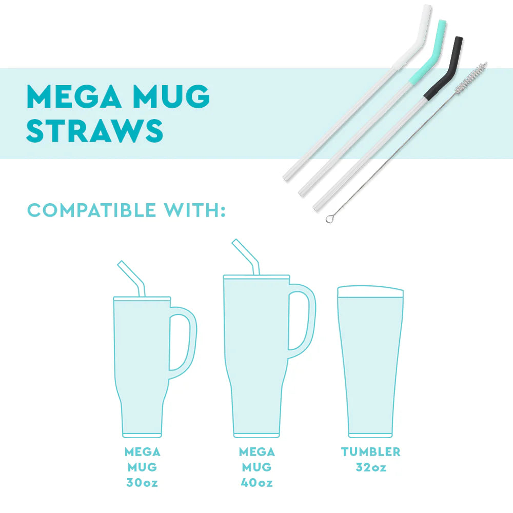 Blush/Coral/Pink Reusable Stra Set (Mega Mugs)