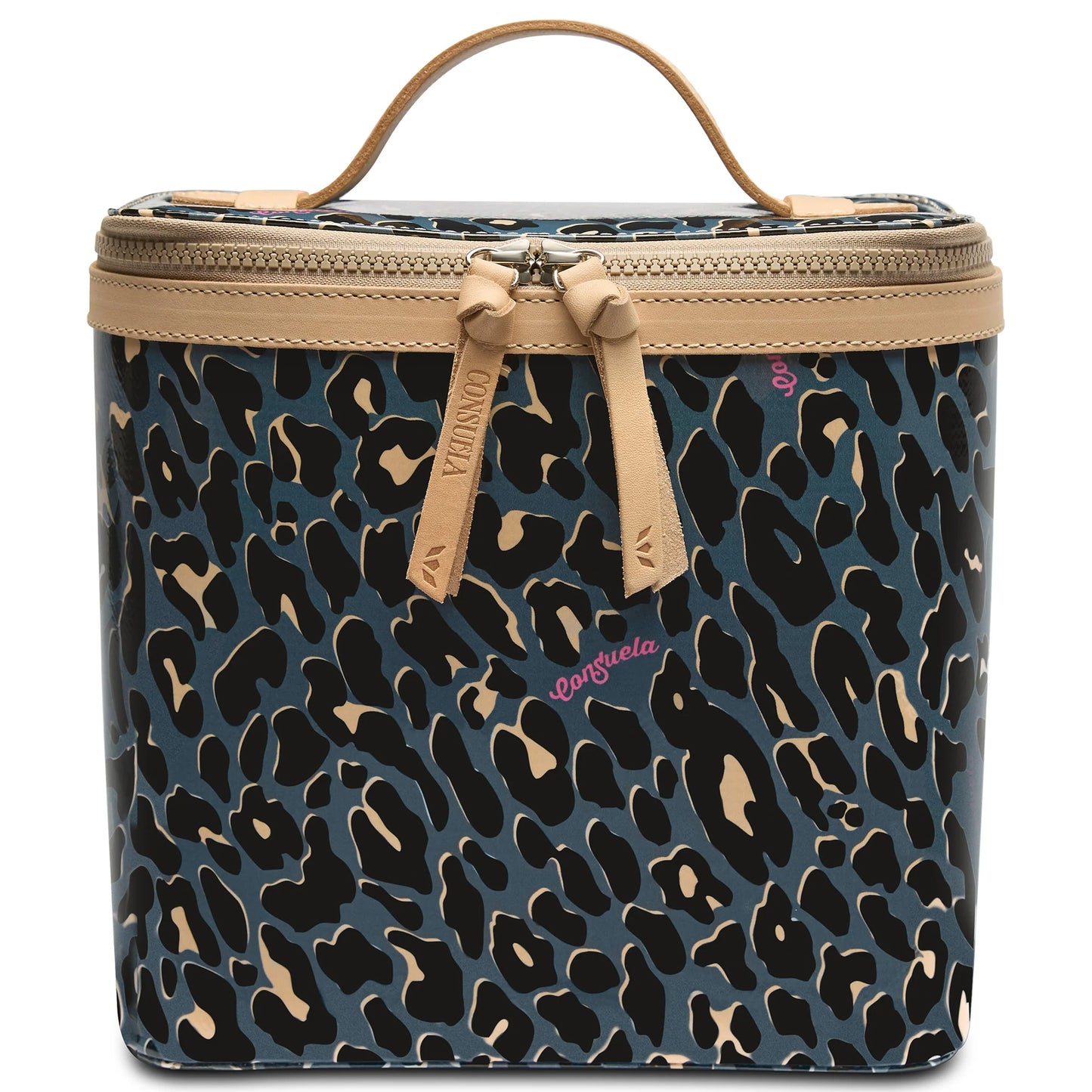 Danni Slim Train Case