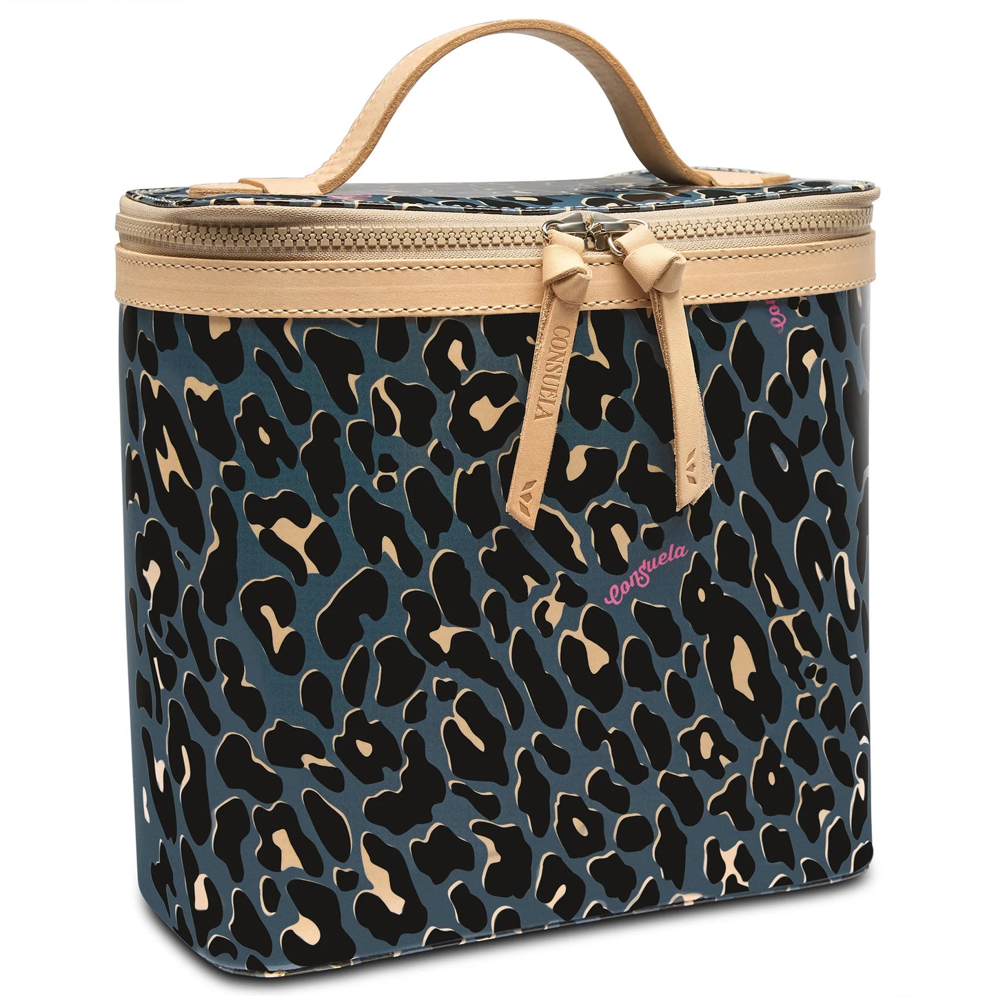 Danni Slim Train Case
