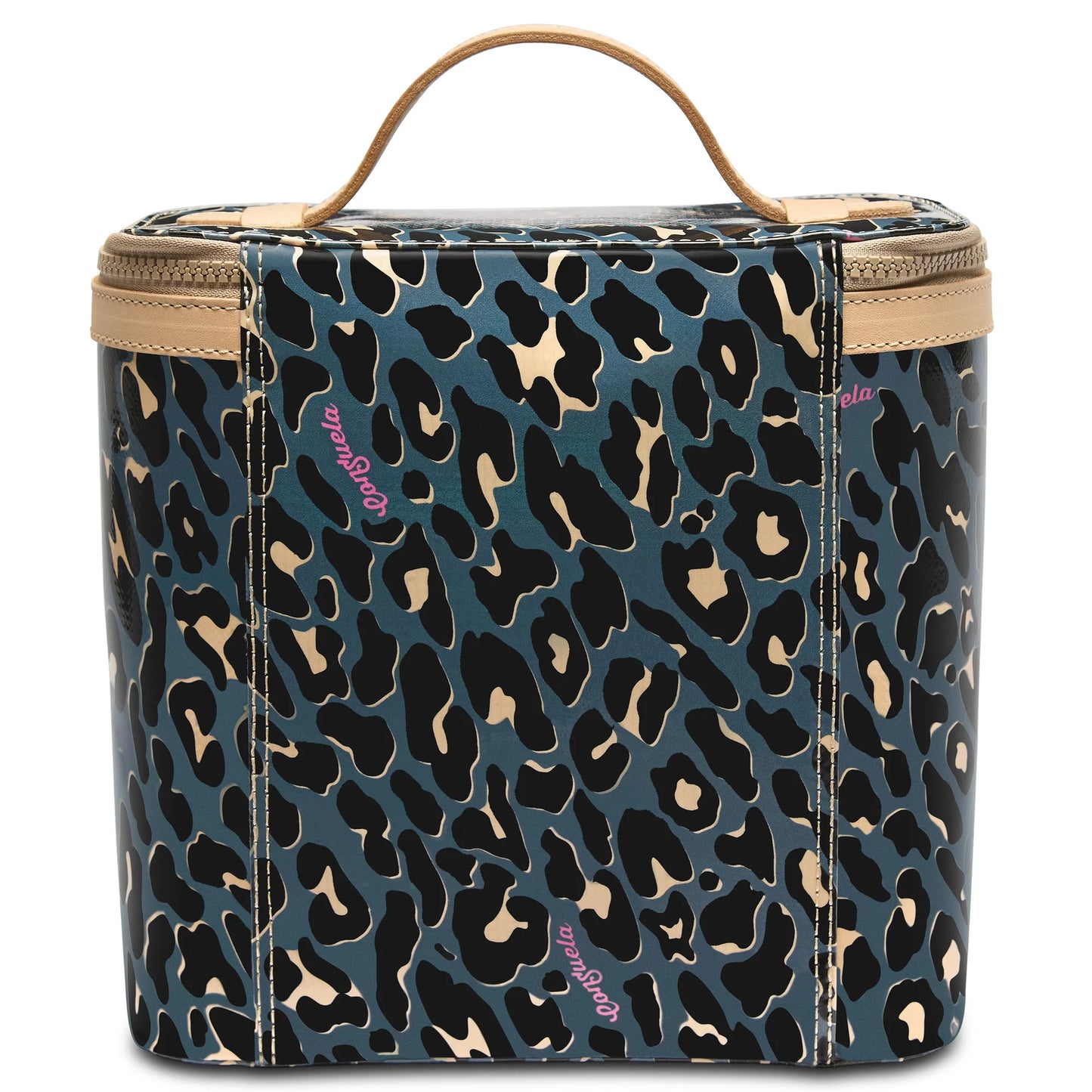 Danni Slim Train Case