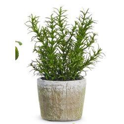 8.25" Potted Herb