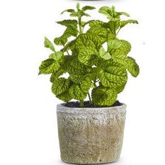 8.25" Potted Herb