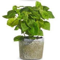 8.25" Potted Herb