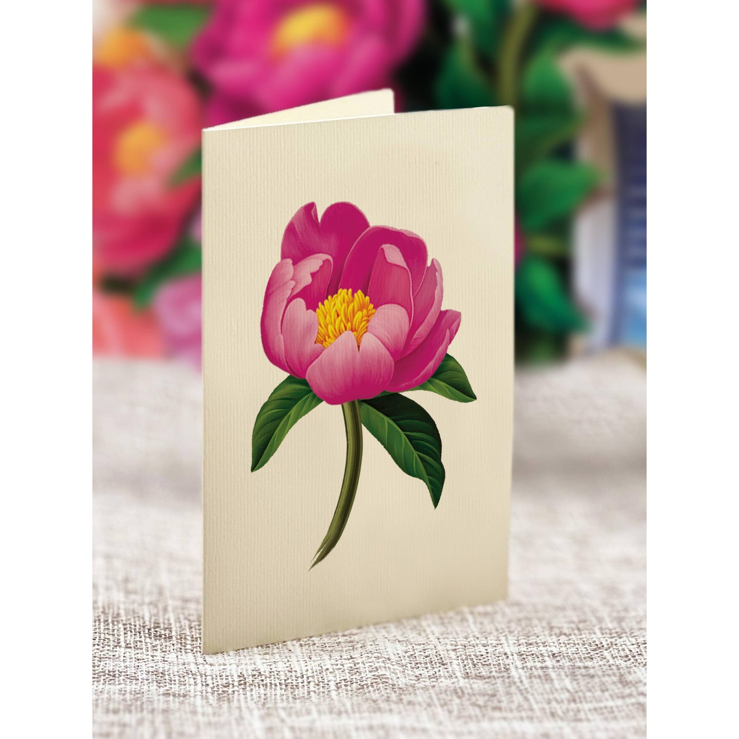 Peony Paradise
