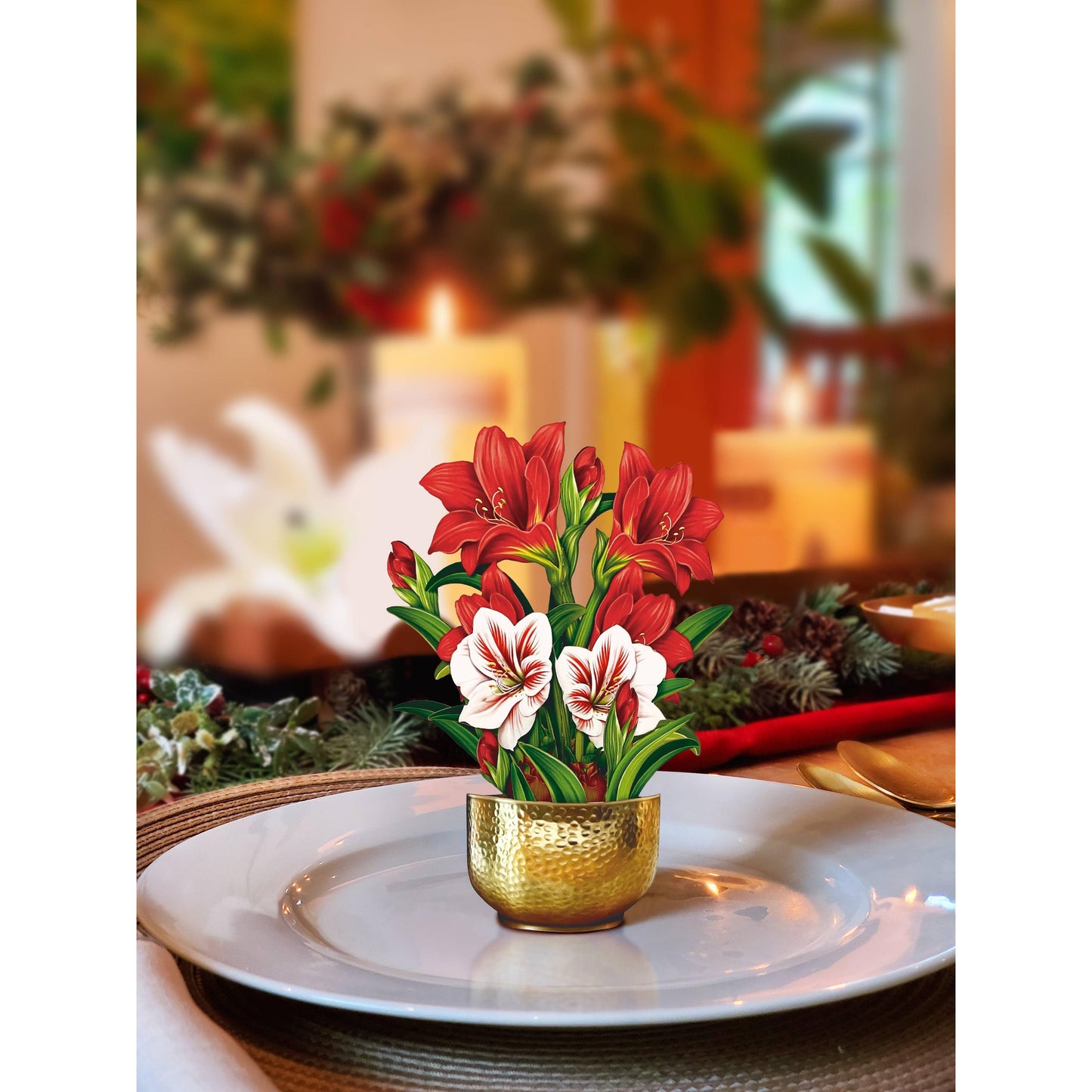 Mini Scarlett Amaryllis