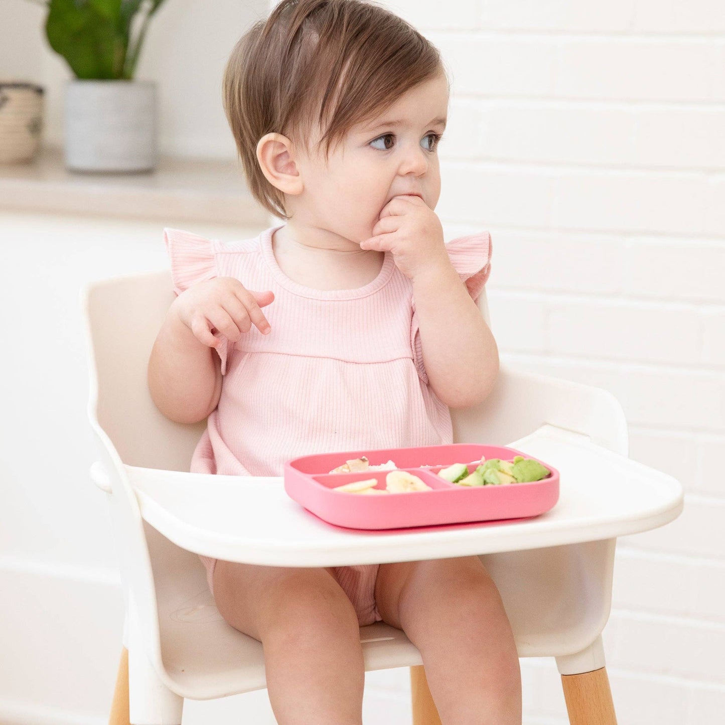 Garden Party Learn to Eat Beginner Bundle
