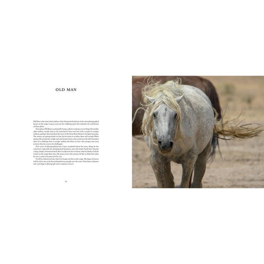 Wild Horses of the West : photography coffee table book