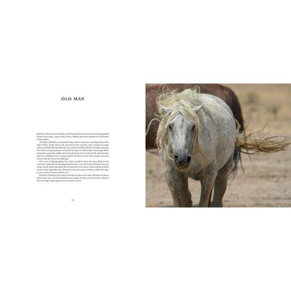 Wild Horses of the West : photography coffee table book