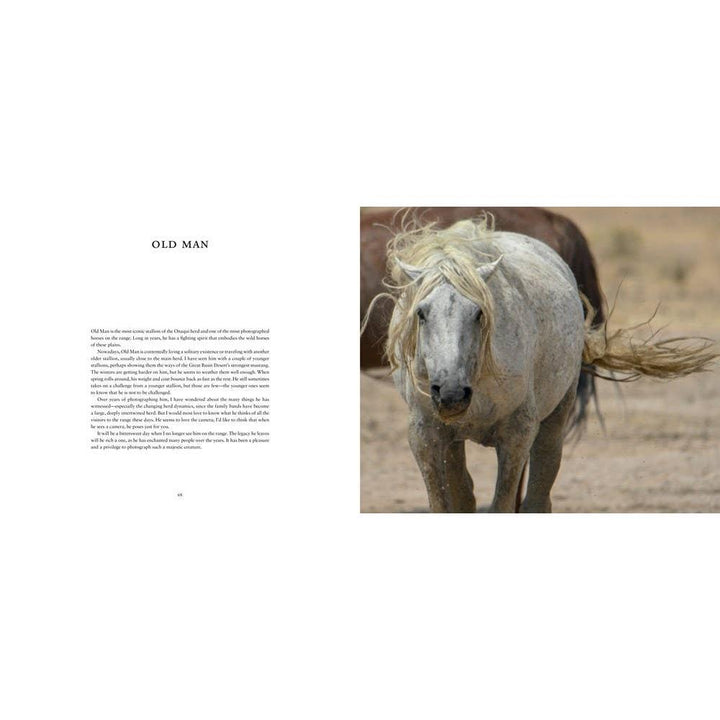 Wild Horses of the West : photography coffee table book