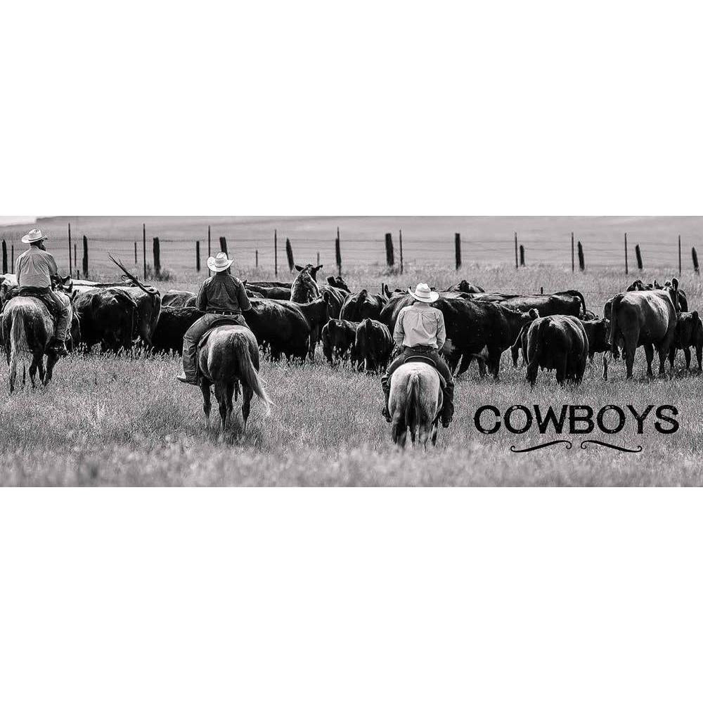 Cowboys and Rodeos