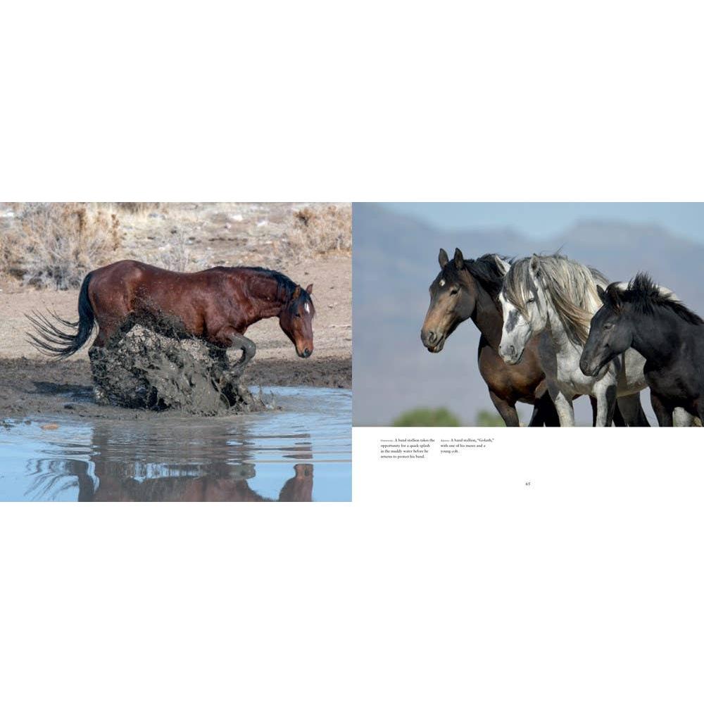 Wild Horses of the West : photography coffee table book