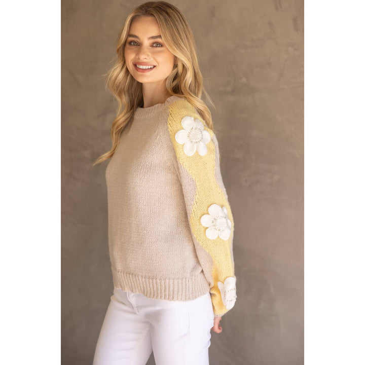 Floral Embroidered Long Sleeve Knit Sweater