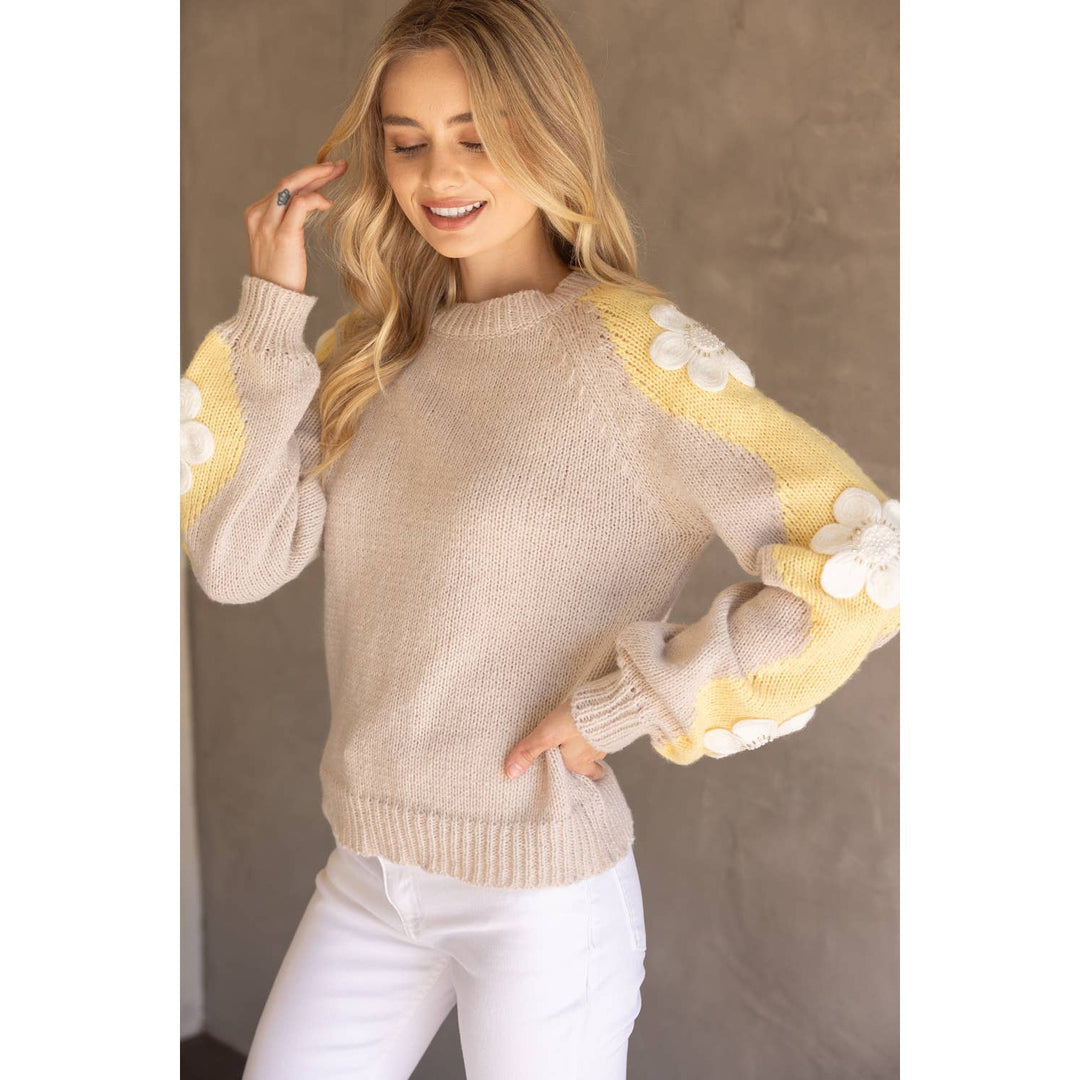 Floral Embroidered Long Sleeve Knit Sweater