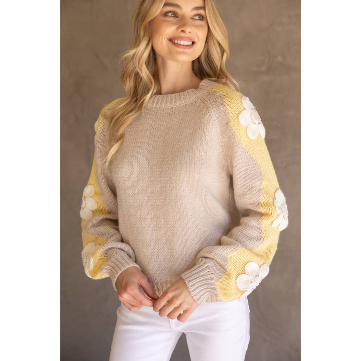 Floral Embroidered Long Sleeve Knit Sweater