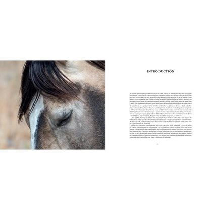 Wild Horses of the West : photography coffee table book