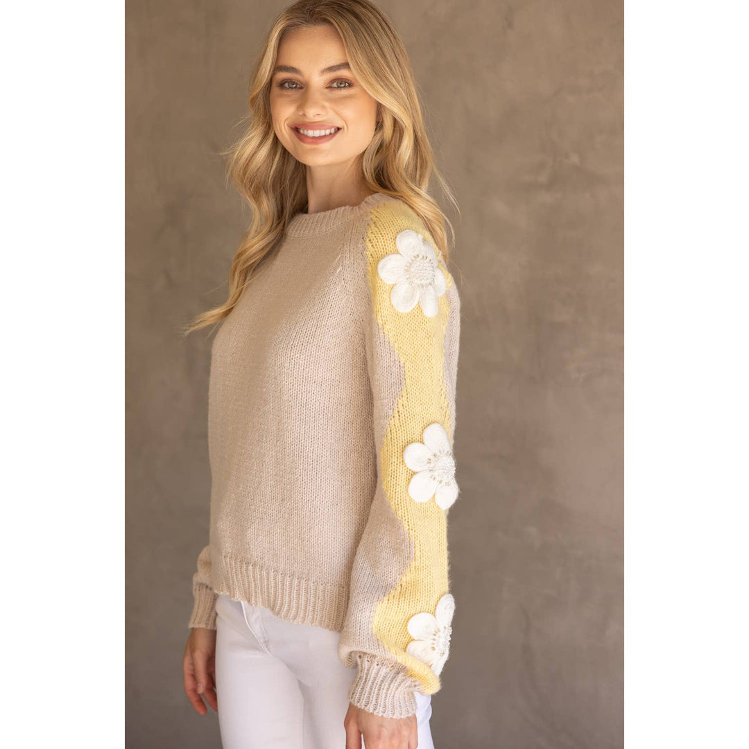 Floral Embroidered Long Sleeve Knit Sweater