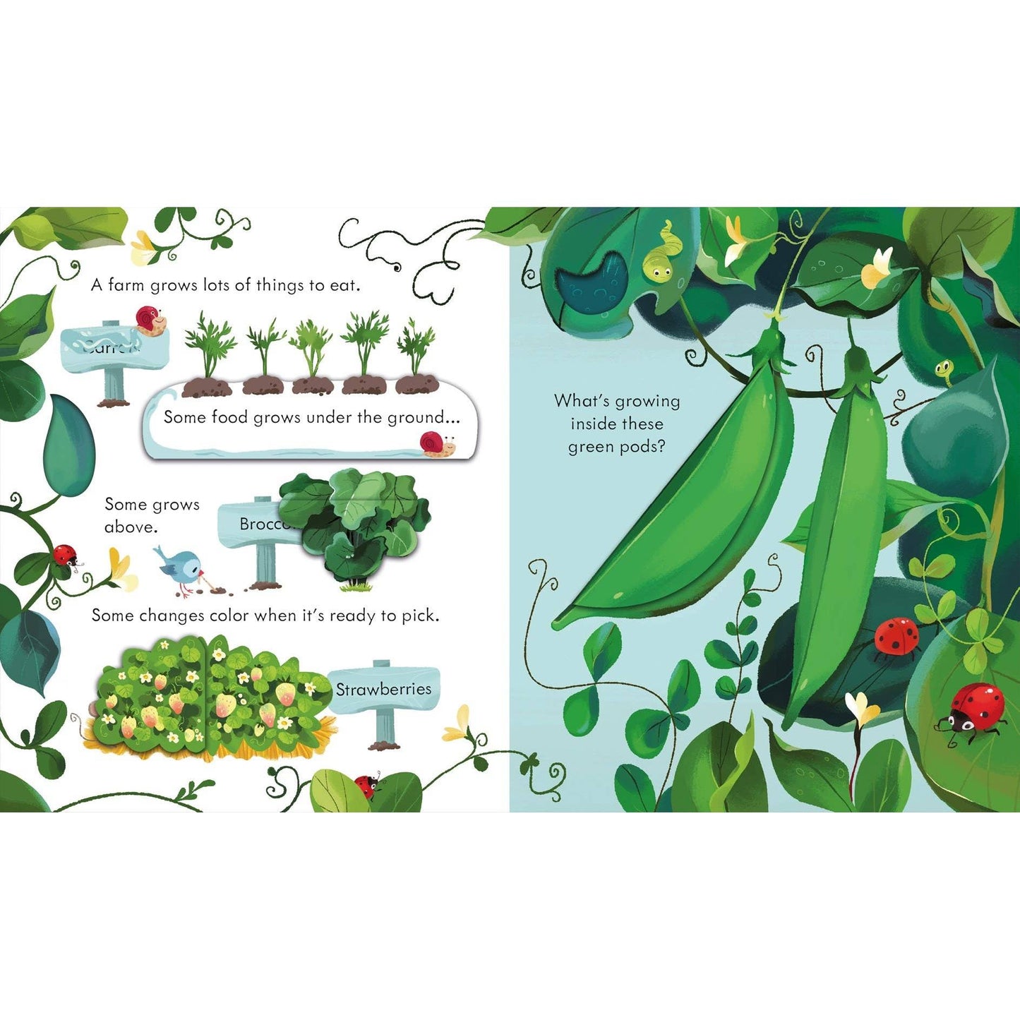 Peek Inside the Farm : Usborne