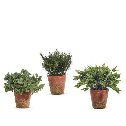 12" Soft Touch Potted Herb