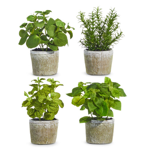 8.25" Potted Herb
