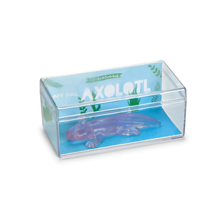 Awesome Axolotl Translucent Axolotl in Storage Container