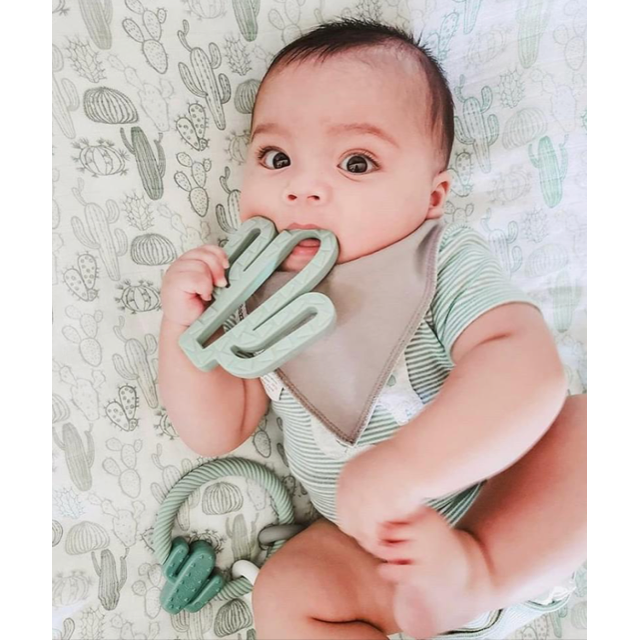*NEW OPTION* Ritzy Rattle™ Silicone Teether Rattles