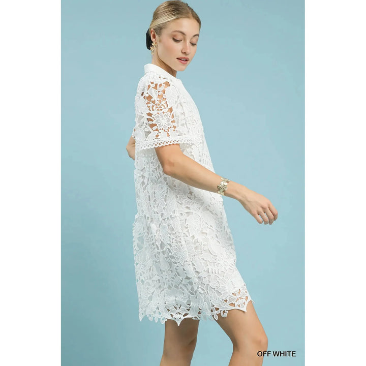 Charlotte Collared Lace Mini Dress - Off White
