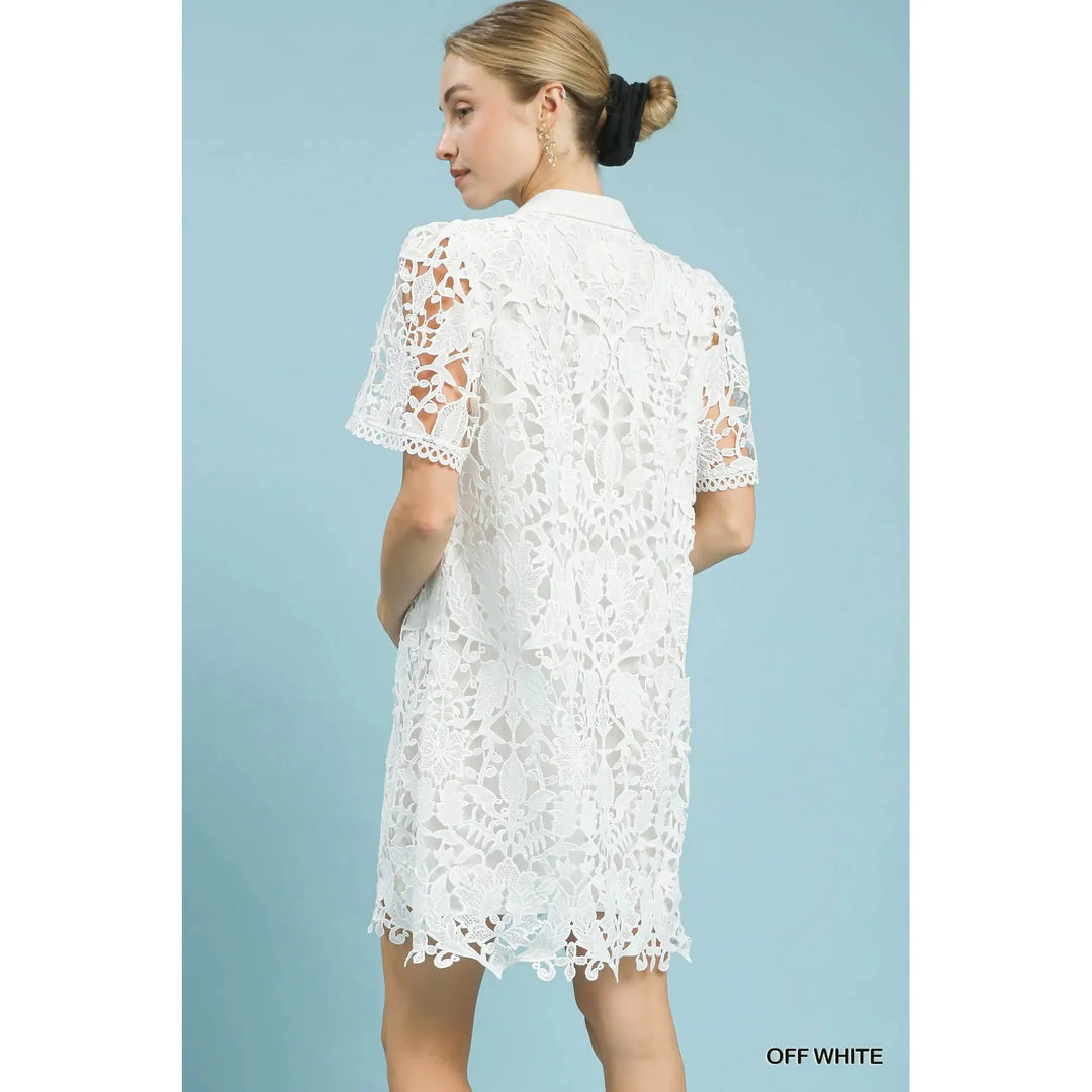 Charlotte Collared Lace Mini Dress - Off White