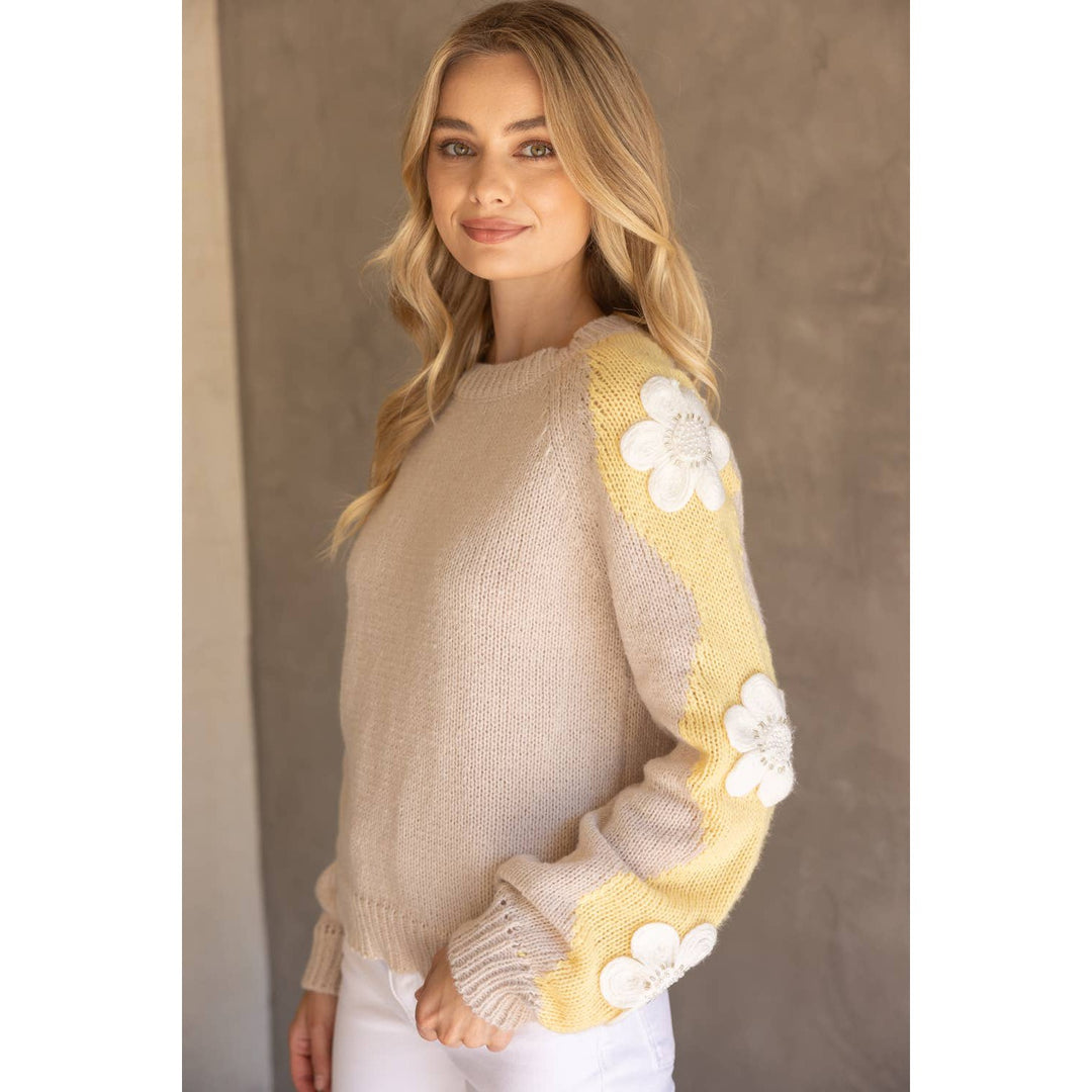Floral Embroidered Long Sleeve Knit Sweater