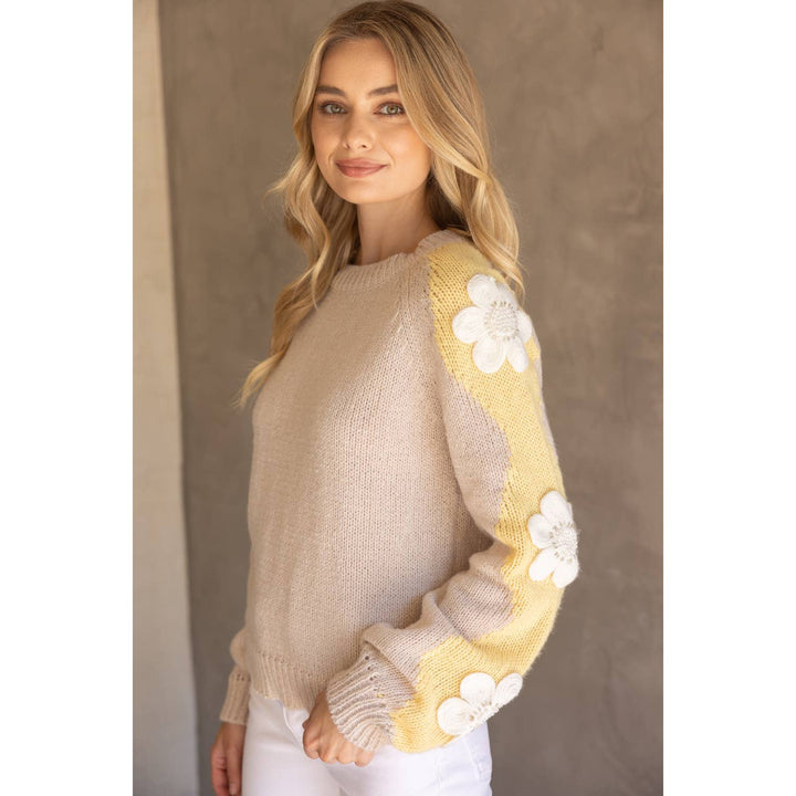 Floral Embroidered Long Sleeve Knit Sweater