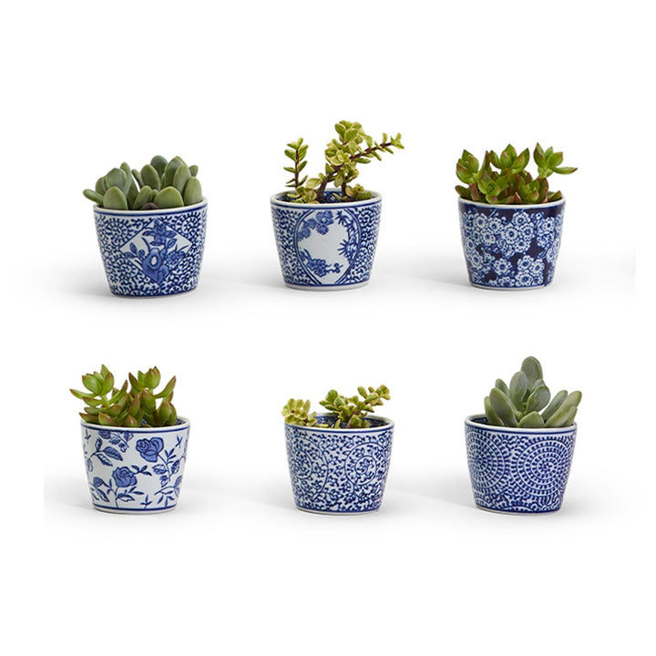 Canton Collection Cachepot in hand-painted blue and white porcelain featuring a classic chinoiserie design.