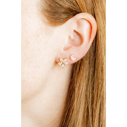Screwback Stud Earrings - Nova