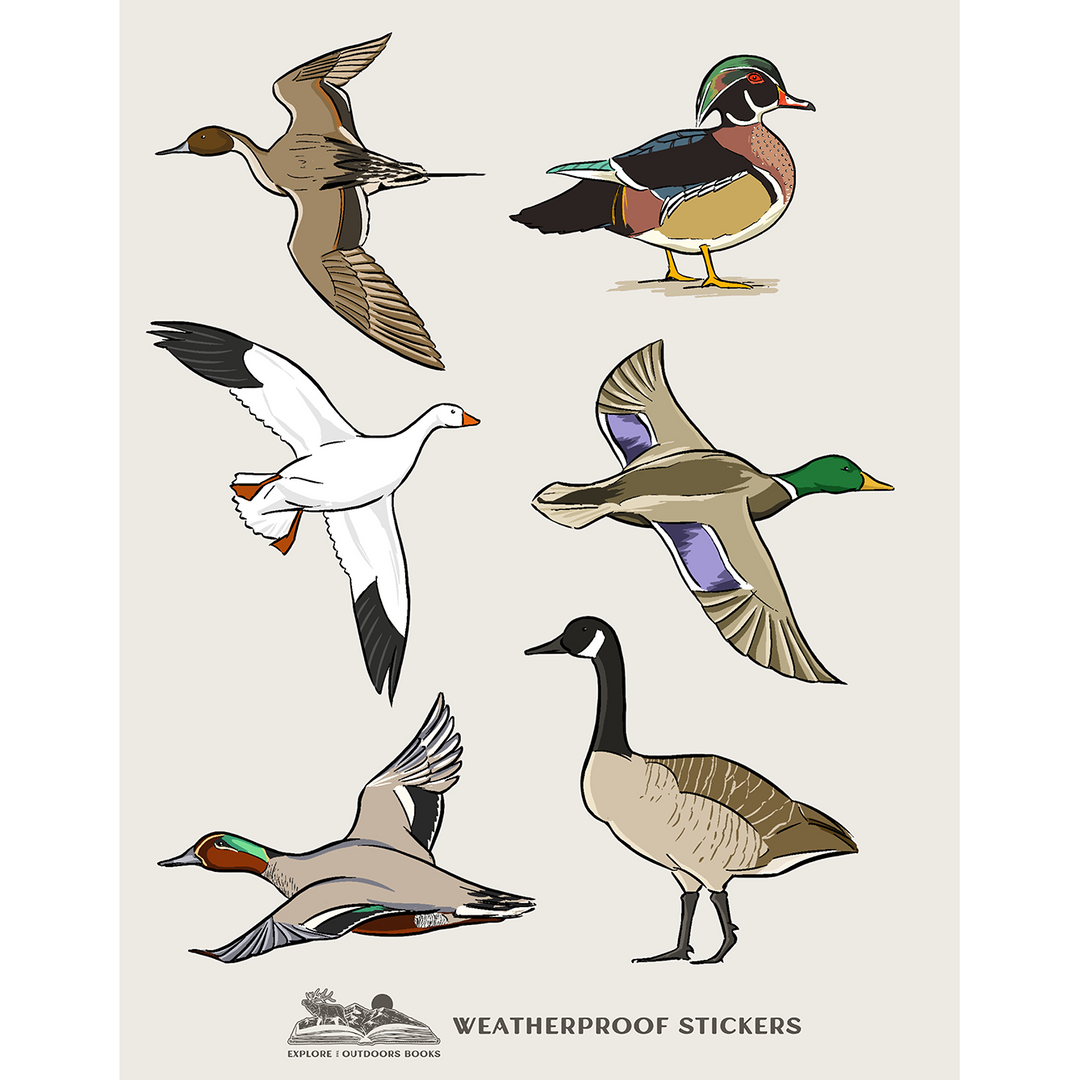 Waterfowl Weatherproof Sticker Sheet