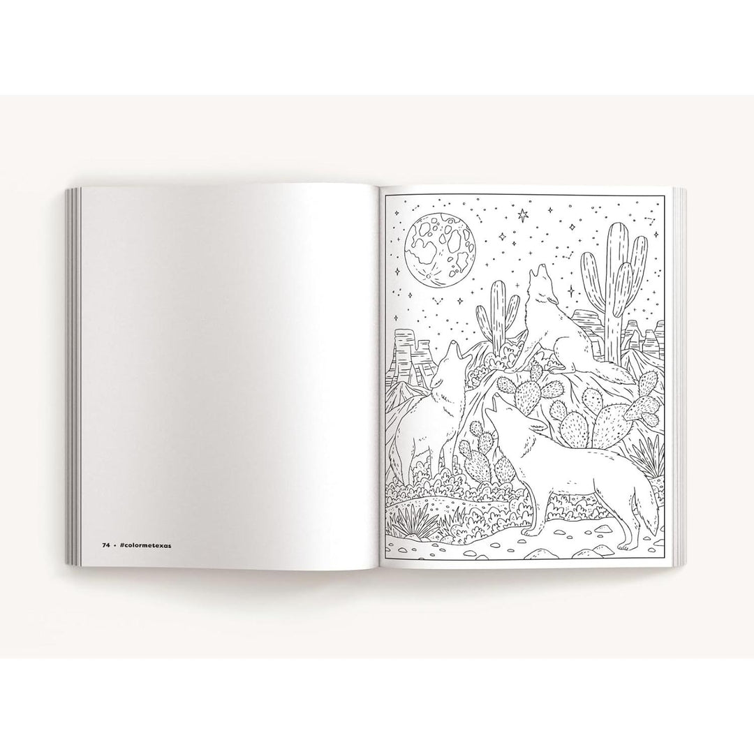 Color Me Texas: A Lone Star State Coloring Book (Color Me Coloring Books)