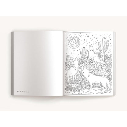 Color Me Texas: A Lone Star State Coloring Book (Color Me Coloring Books)