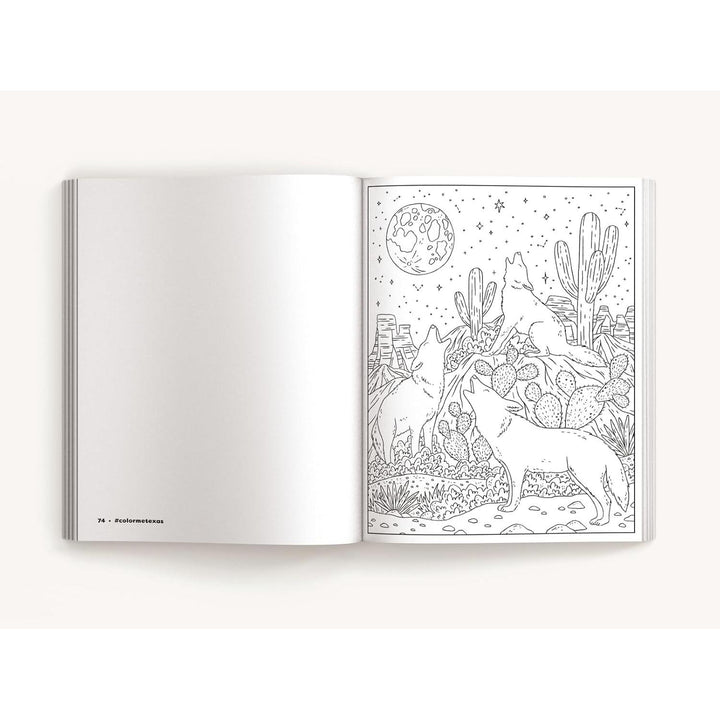 Color Me Texas: A Lone Star State Coloring Book (Color Me Coloring Books)