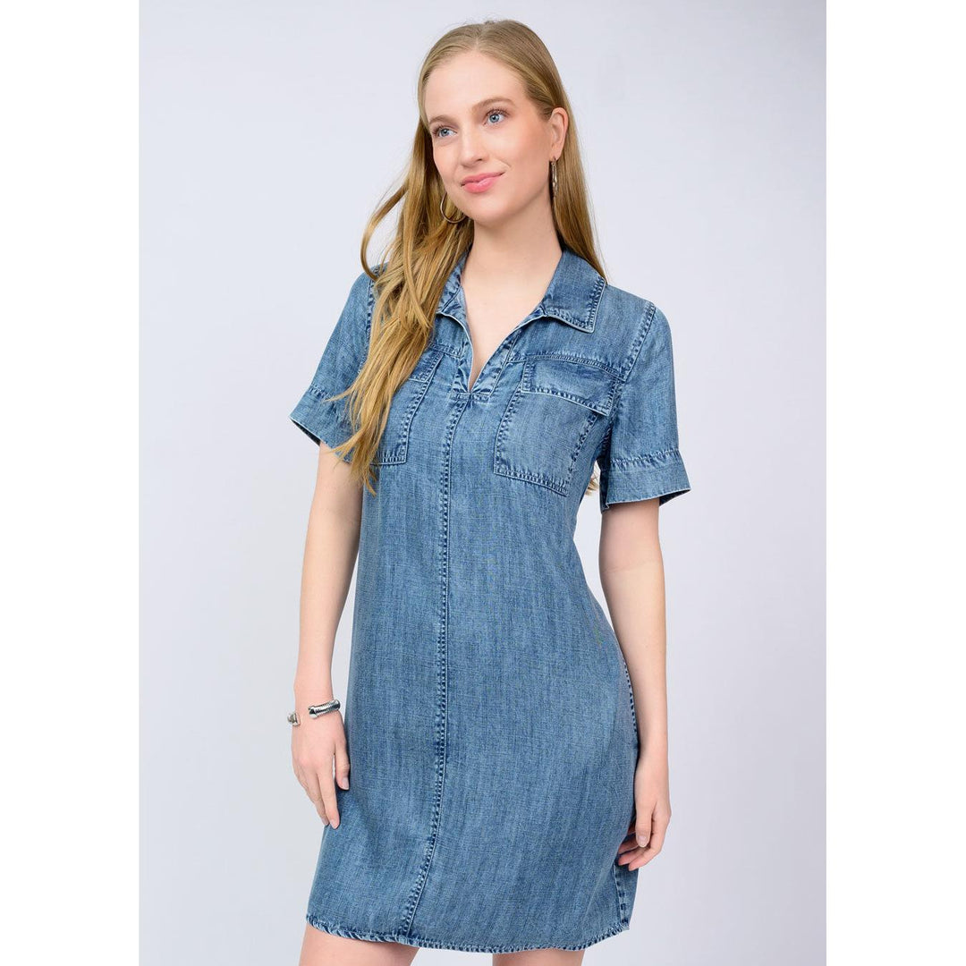 Denim Shift Dress