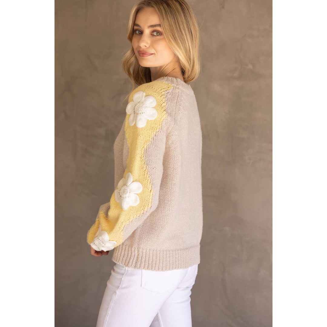 Floral Embroidered Long Sleeve Knit Sweater