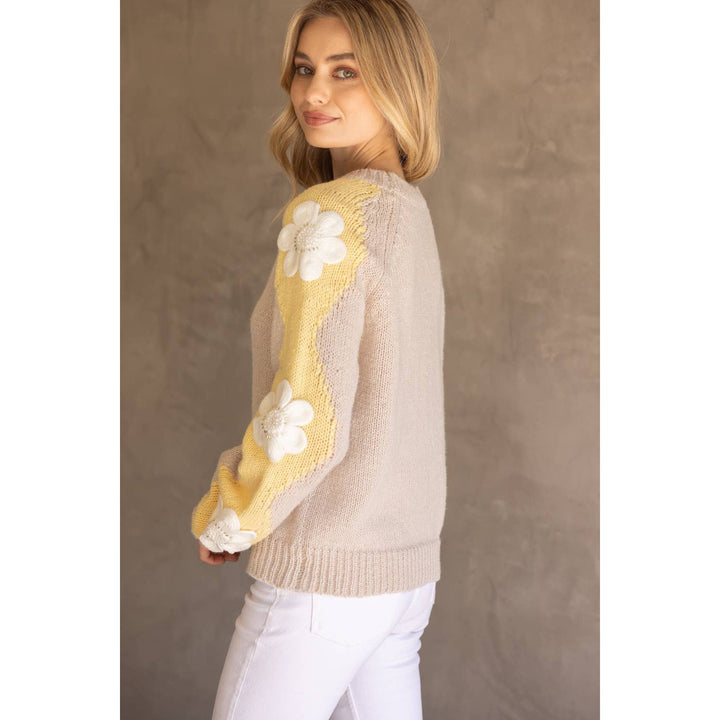 Floral Embroidered Long Sleeve Knit Sweater