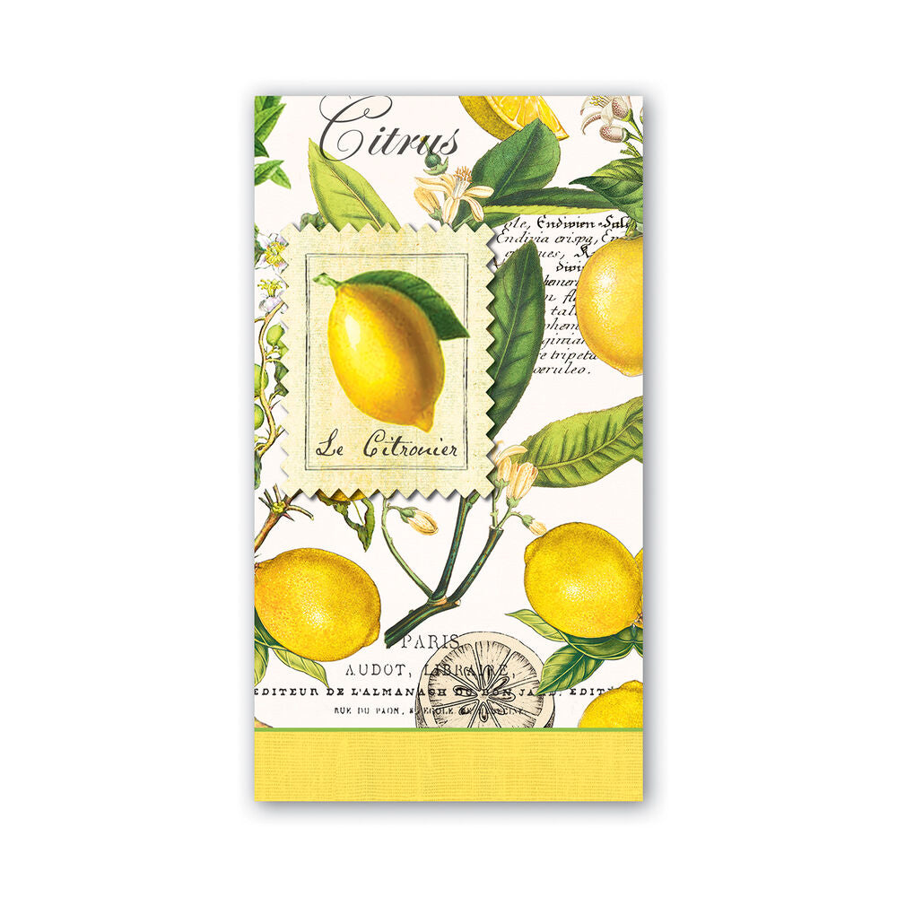 Michel Design Works Hostess Napkins