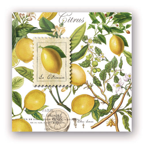 Michel Design Works Lemon Basil Cocktail Napkins featuring a vibrant citrus and botanical print.