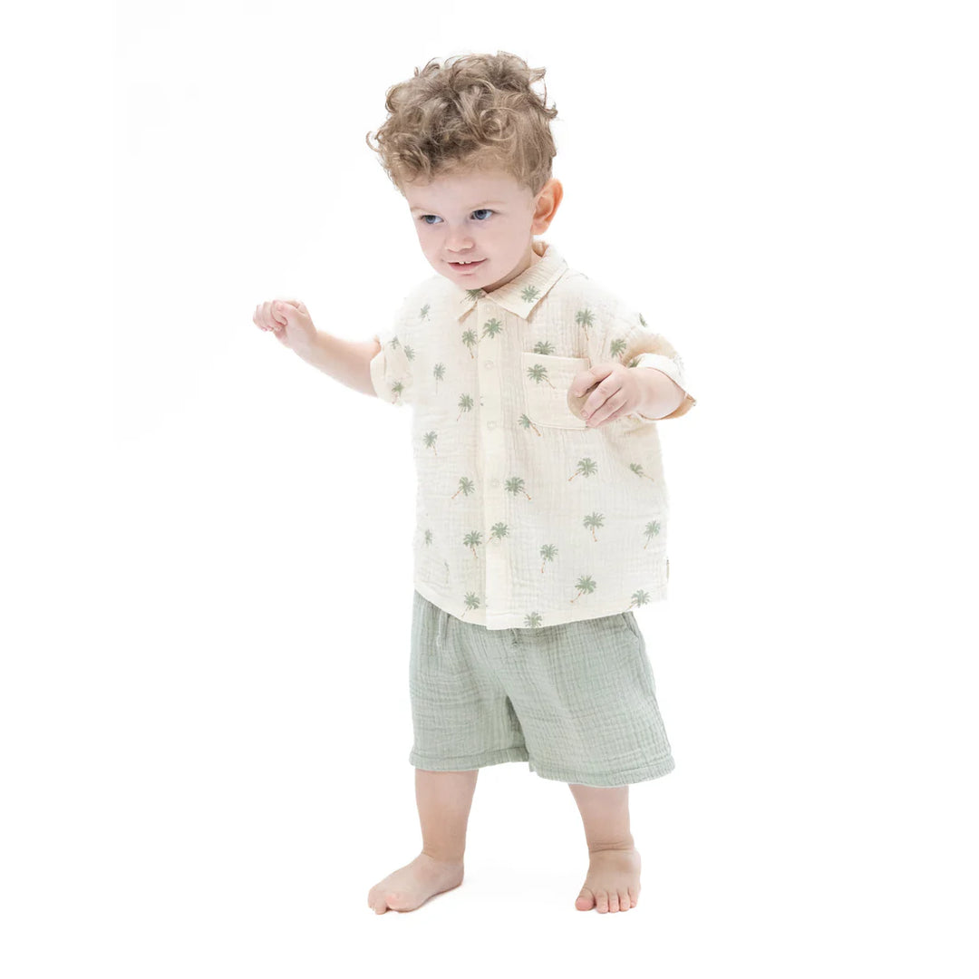 Palm Trees Bamboo Polo Button Up &amp; Casual Short Set | Angel Dear